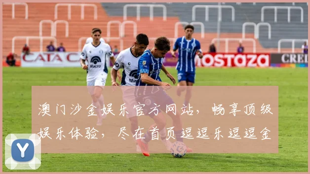 澳门沙金娱乐官方网站，畅享顶级娱乐体验，尽在首页逗逗乐逗逗金逗逗赢