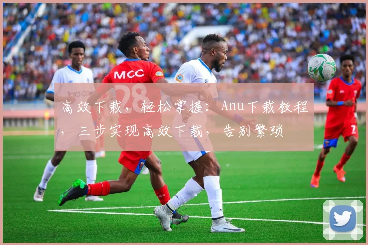 高效下载，轻松掌握：Anu下载教程，三步实现高效下载，告别繁琐