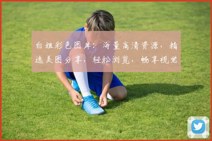 白姐彩色图库：海量高清资源，精选美图分享，轻松浏览，畅享视觉盛宴，一网打尽