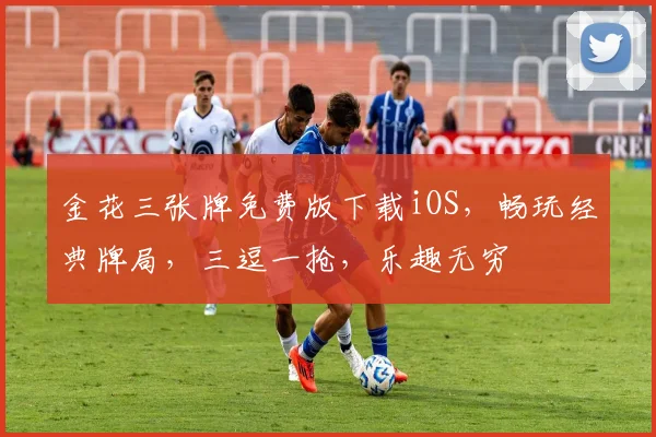 金花三张牌免费版下载iOS，畅玩经典牌局，三逗一抢，乐趣无穷